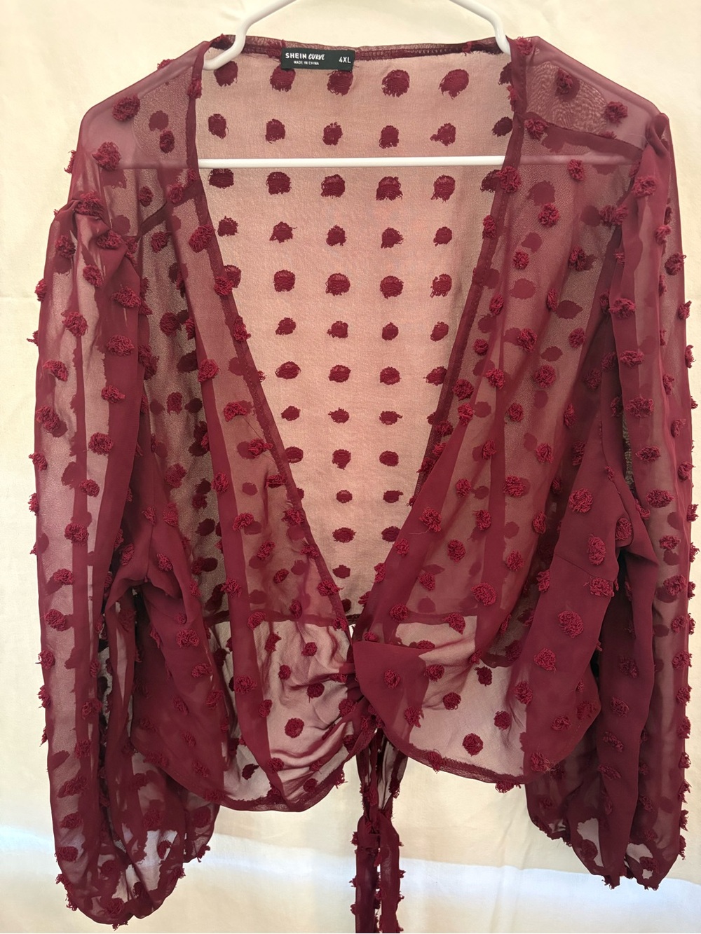 SHEIN Burgundy Sheer Dot Tie-Front Blouse